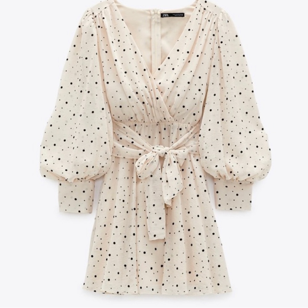 Zara Micro Dot Mini Dress
